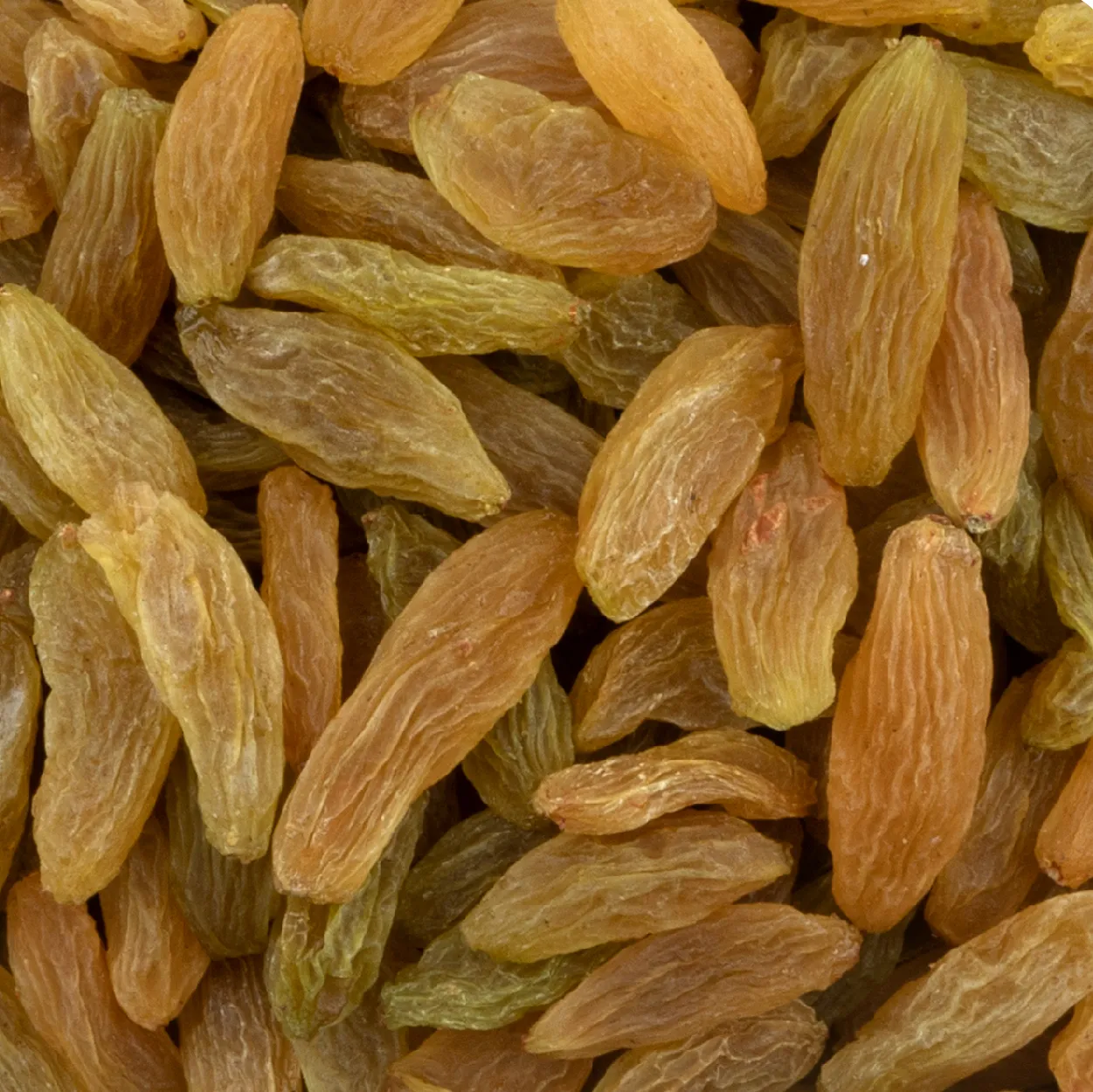 No.1 raisins supplier in india